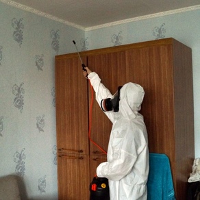 Борьба с клопами в домашних условиях – Уфа