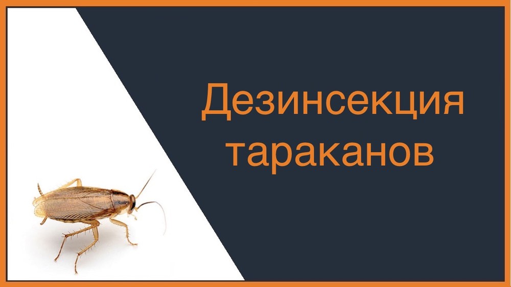 Дезинсекция тараканов в Уфе
